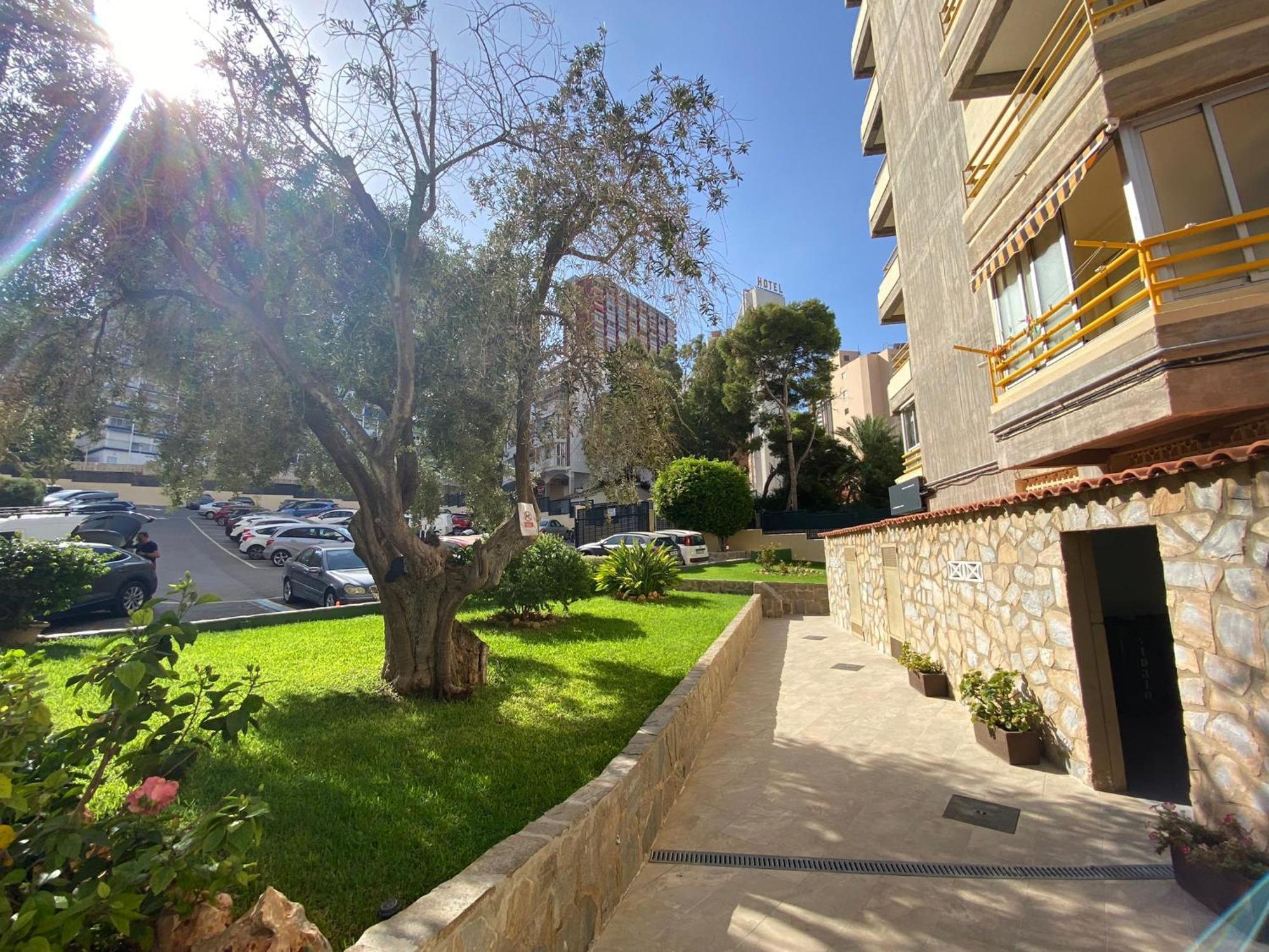 Don Miguel I-4 Daire Benidorm Dış mekan fotoğraf